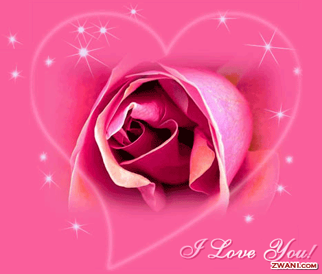 love is life