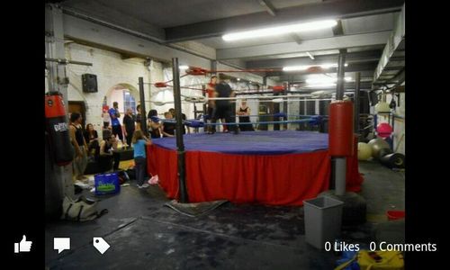 SixSidedShirley's profile picture. I'm a ring