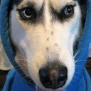 Val Harris - @musashije4729 - Twitter