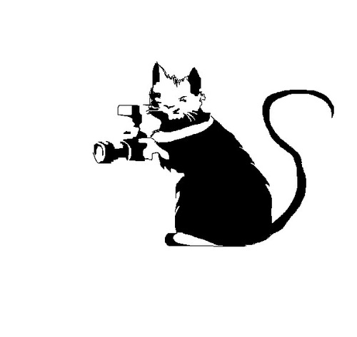 AlinaNesterenya's profile picture. 