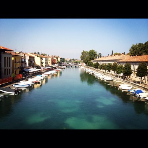 krullenbol39's profile picture. 