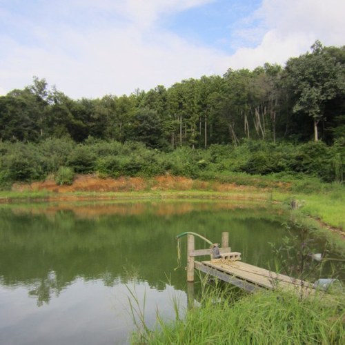 フライ、ルアーの管理釣場のオーナーです。 栃木県を盛り上げ、ヤシオマスの美味しさを広めるべく努力中。ポンド営業中は釣果速報中心に発信予定。