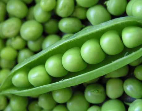 addicted to coffee and reading...ohh, and would really love a big bowl of fresh raw peas right now!