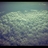 ohya2832's profile image