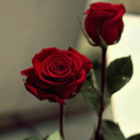 الدره المكنونه1 (@0556_mrrom) Twitter