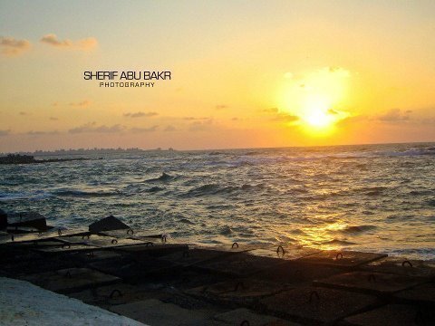 hebaallam's profile picture. 