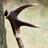 LordsSticks's profile image