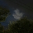Mondayy0305's profile image