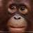 Legunantara's profile image