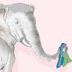 METAvivor Profile