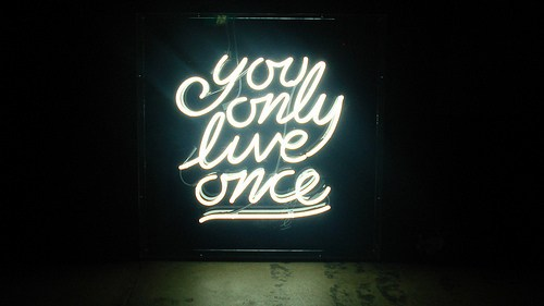 Jevvy's profile picture. Professional stalker