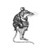 PPN Pest Control (@piedpipernl) Twitter profile photo PPN Pest Control (@piedpipernl) Twitter profile photo