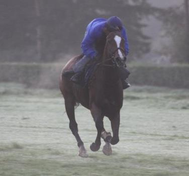 JSuisse's profile picture. 