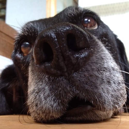 tomeya22's profile picture. 