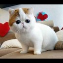 jimmie weaver - @cribiato - Twitter