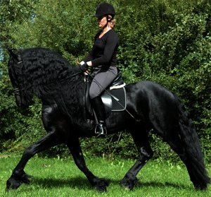 e_ananyina's profile picture. Журналист.