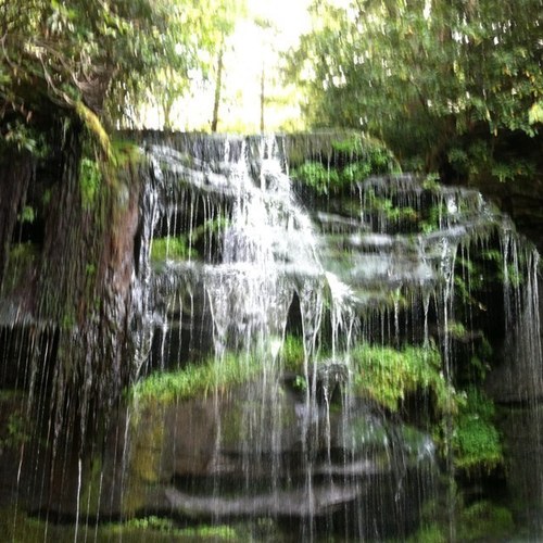 rcappadona's profile picture. 