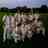 marketdeepingcc (@marketdeepingcc) 's Twitter Profile