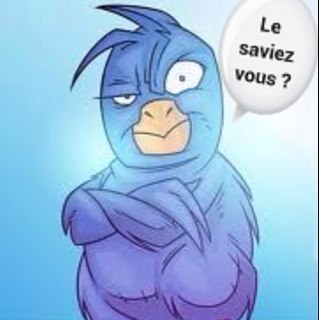 Avide de savoir ? Des infos insolites pour les curieux. Certaines vous fascineront ou vous amuseront, d'autres vous laisseront sans doute perplexe.