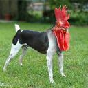 Peter Knodel - @pknodel - Twitter