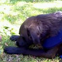 rich berger - @bergerman123456 - Twitter