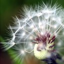 Mar Aníbal-Martínez - @Mar_AnibalM - Twitter