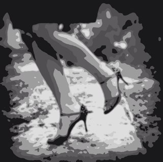 tangopaparazzo's profile picture. 