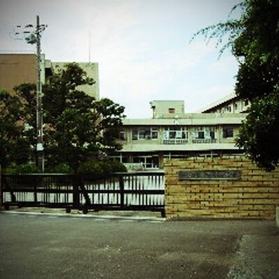 沼高bot