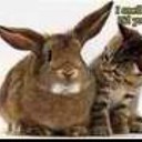 Kathryn Beam - @mellowmedic - Twitter