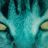 RakelSpy's profile image