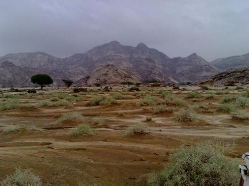 مسلم،روقي،شاعر،هلالي،وجدي هلالي،احب الطيبين واحب الجمش تغريداتي متنوعه،،والزعل ممنوع وصاحب كلمة حق واهلاً وسهلاً
