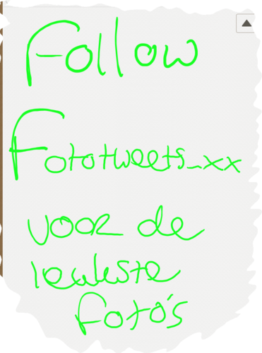 always follow back