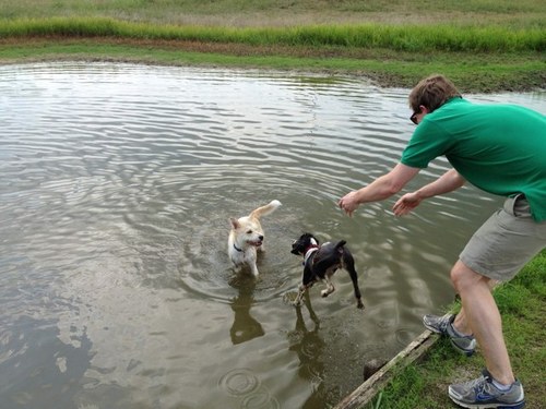 WaltrobisonJr's profile picture. Survive and Advance