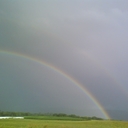 Linda Spangler - @LindaSpan - Twitter