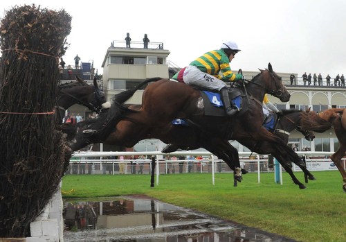 The official account of Ludlow Racecourse.