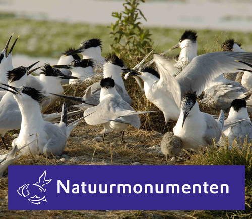 Natuurmonumenten op Waddeneiland Texel! Twitterende boswachters: @JitskeEsselaar @EckardBoot @LoranTinga