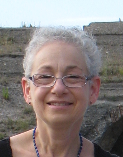 Librarian, educational consultant, activist