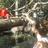 LauraMoreno12's profile image