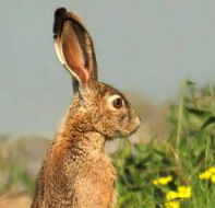 OewerKonyn's profile picture. I tweet what I want. My tweets are my Own. I am endangered. I am South African. I survive & thrive!