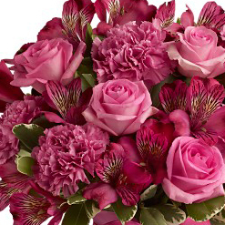 FlowersforLess's profile picture. Family owned and operated, proudly serving Grande Prairie, Alberta since 1992!