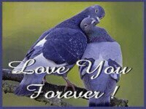 3paks's profile picture. 