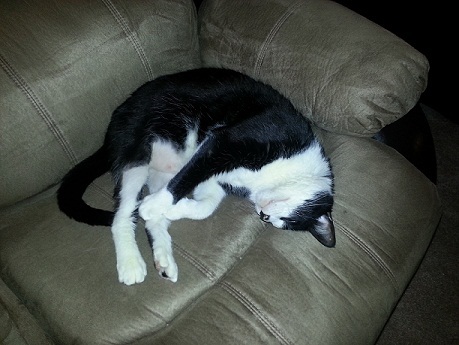 Kstring1's profile picture. It is time to make a change and make it count!