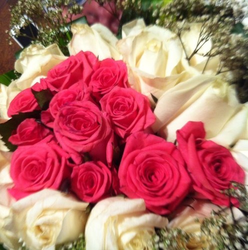 moon5591's profile picture. 