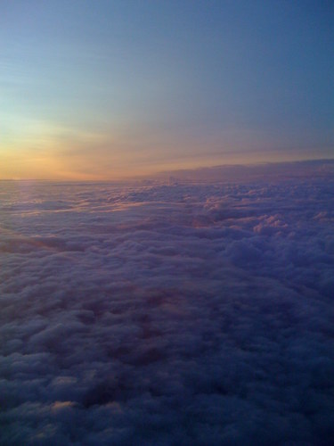 stemla_info's profile picture. 