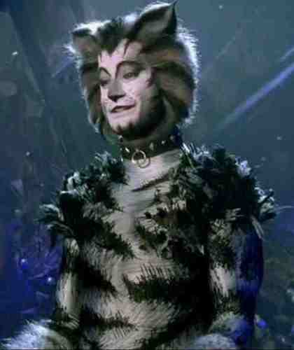 Munkstrap1's profile picture. i am Munkstrap the protector of the Jellicle Cats