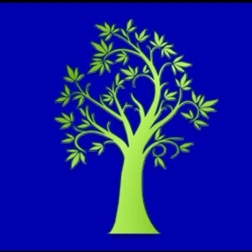 colegio_bless's profile picture. 