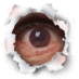 Heather McAllister (@bellweather666) Twitter profile photo Heather McAllister (@bellweather666) Twitter profile photo