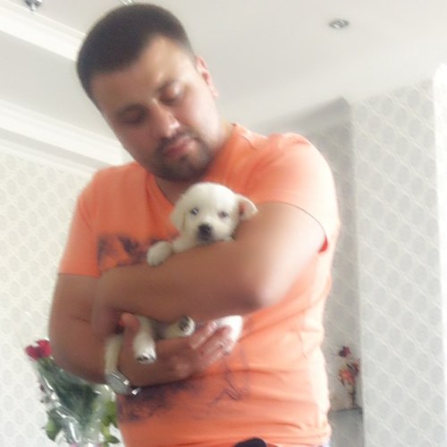 byildiz1981's profile picture. tek inancı GALATASARAY ....