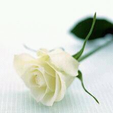 Umhussain3434's profile picture. 