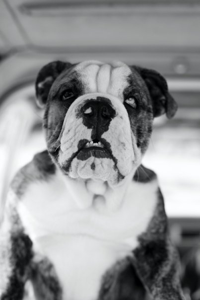 Josharp7's profile picture. Everyday is holiday!